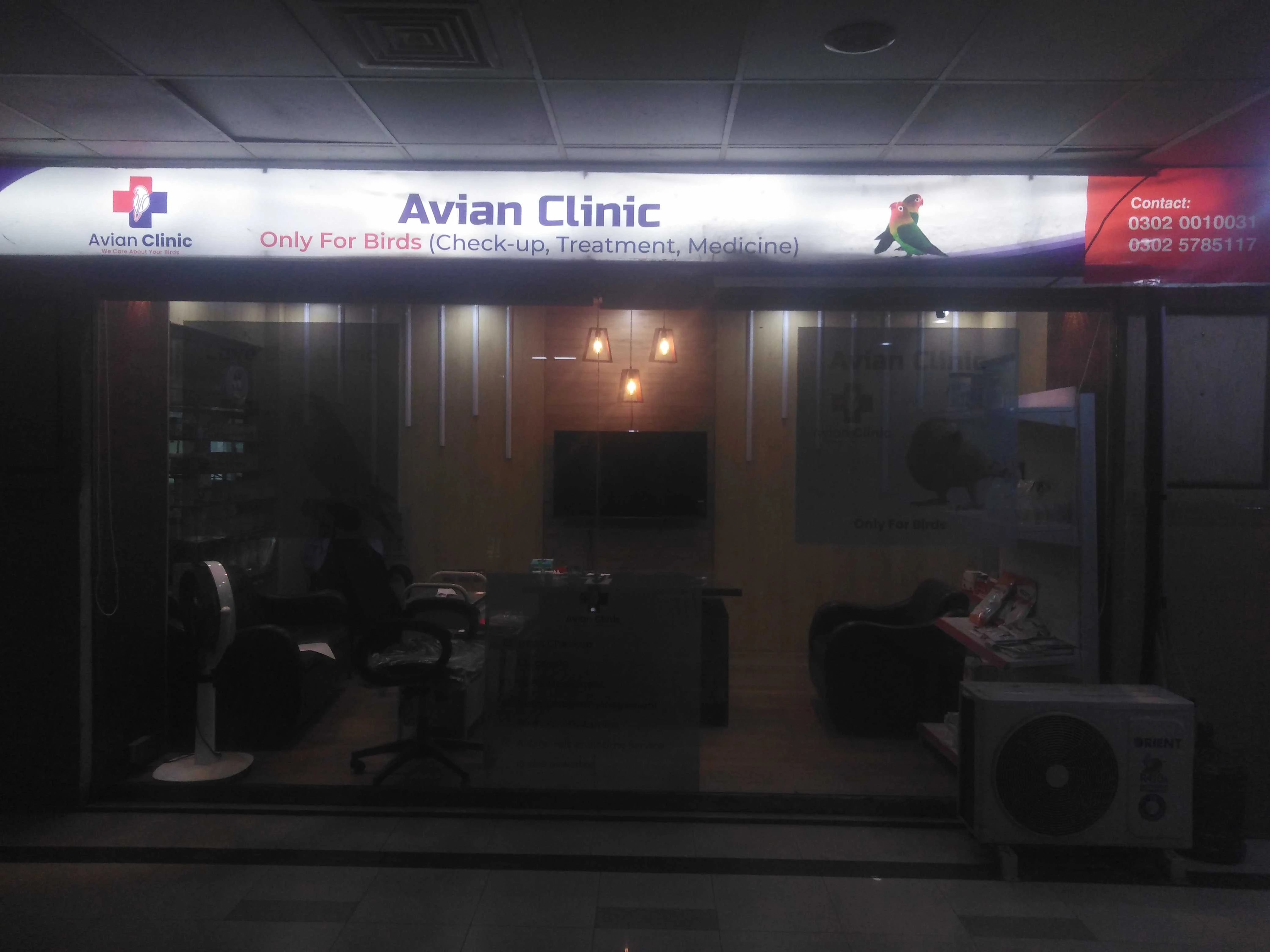 Avian Clinic (consultation)