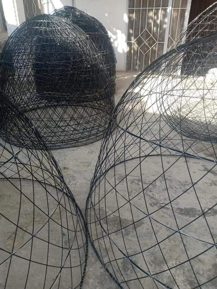 Aseel tokry cages-Image 3