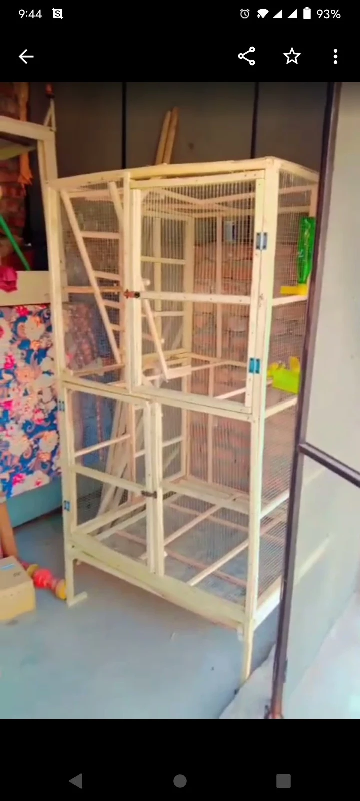 Bird cage for sale