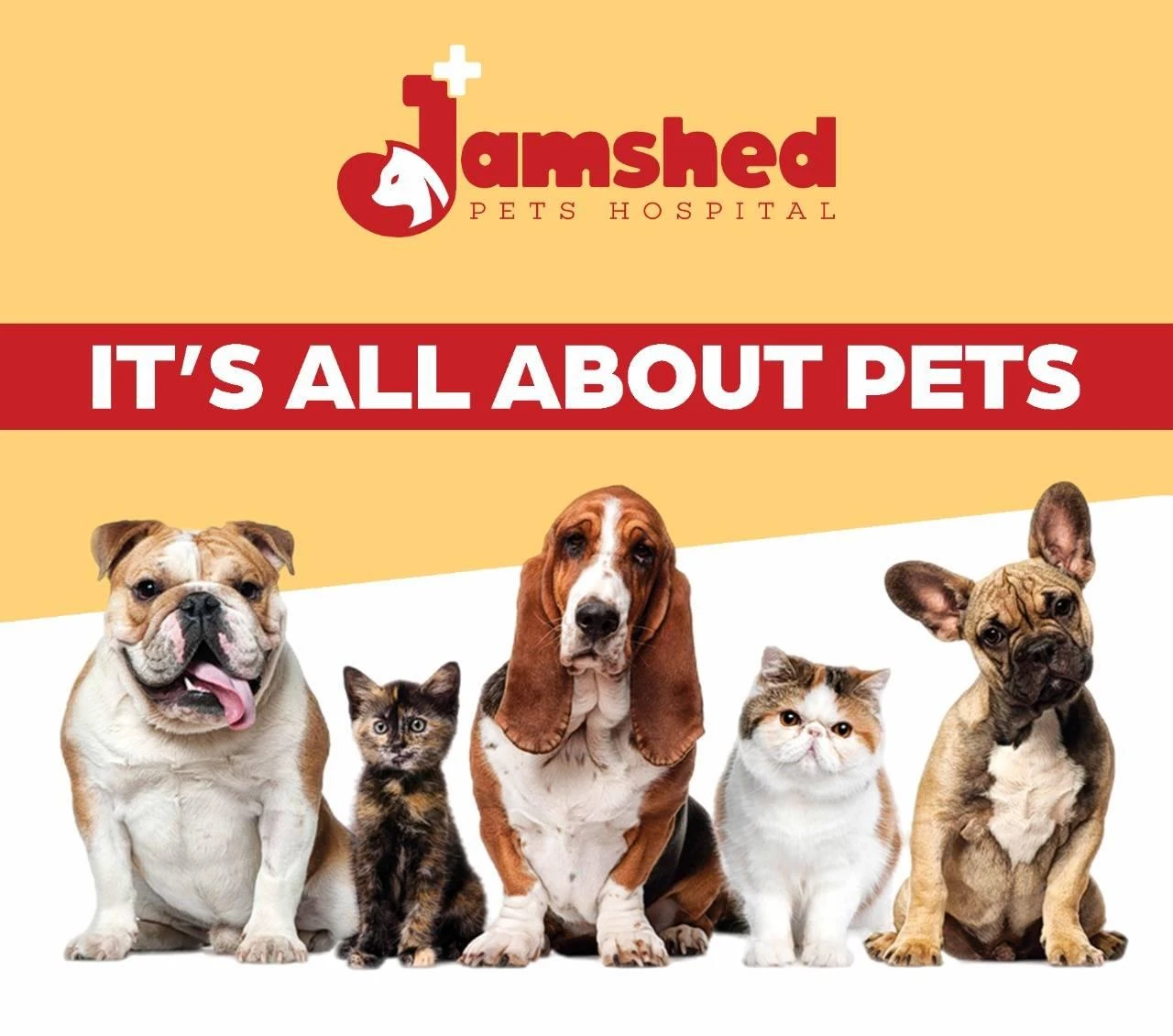 Jamshed Pets Hospital