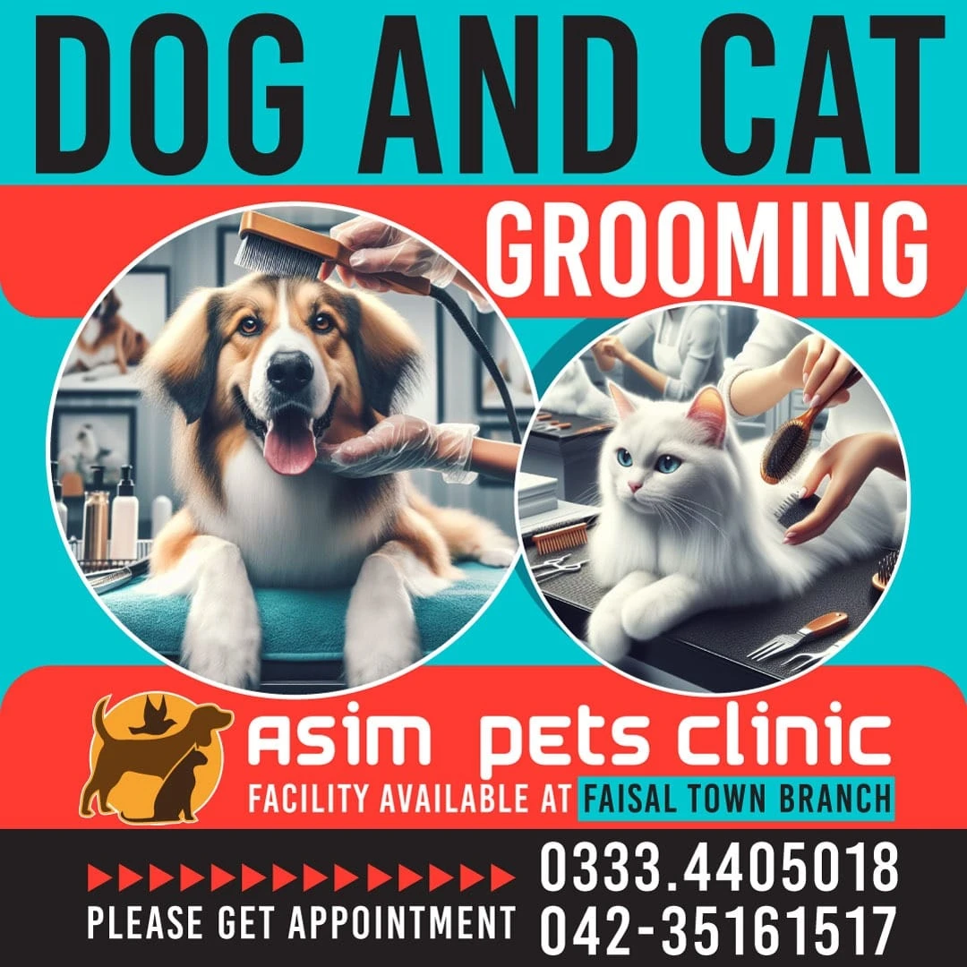 Asim Pets Clinic Grooming service