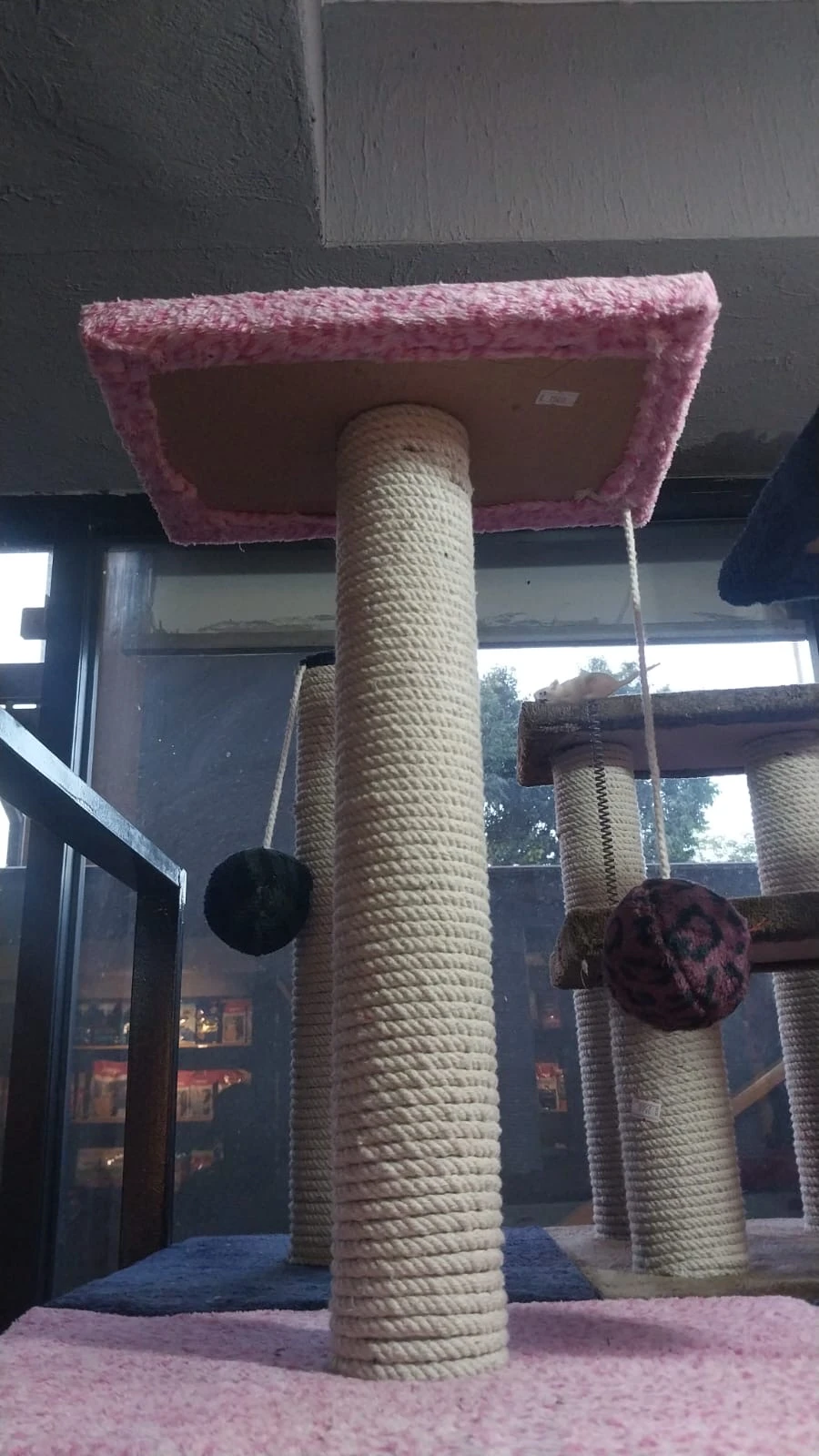 Scratch Post-Image 1