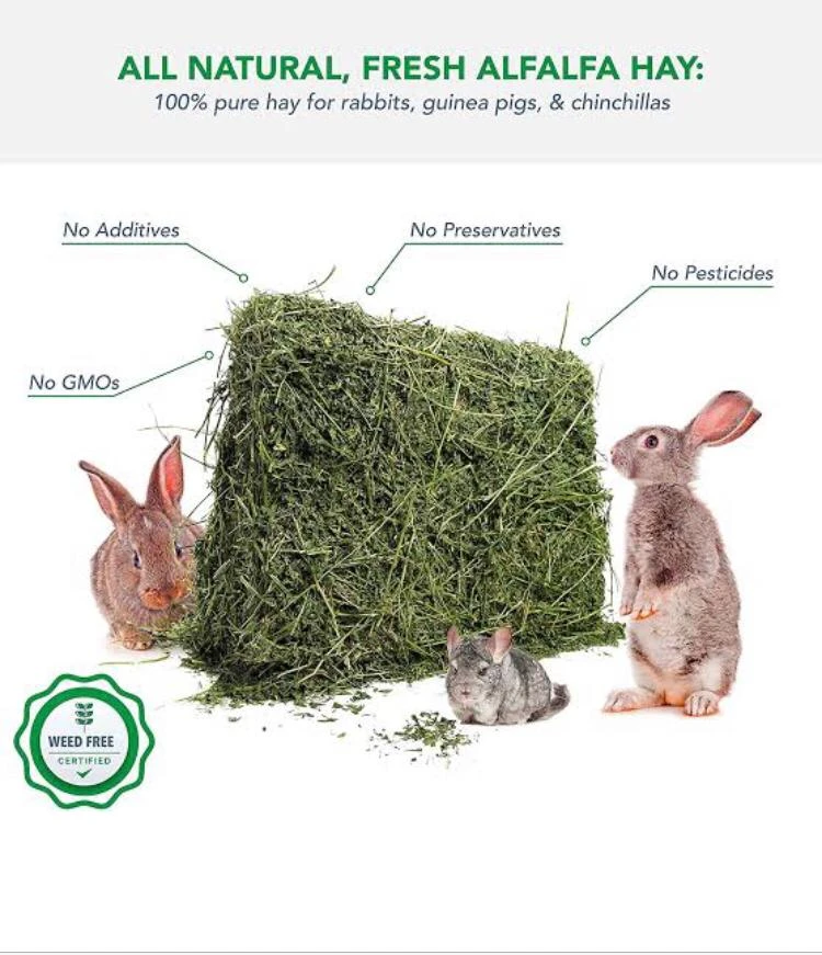 All Natural, Fresh AlFALFA HAY-Image 1