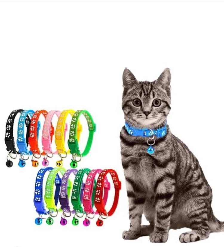 Cat & Kitten collars-Image 1