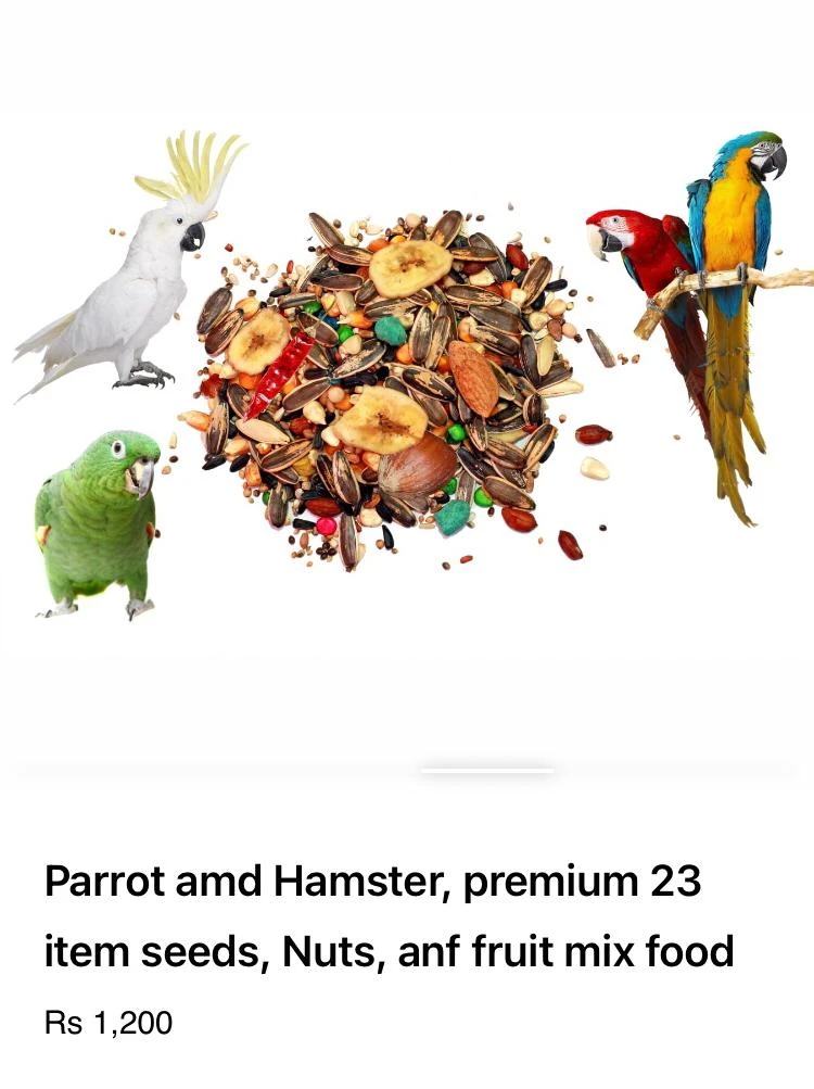 Parrot amd Hamster, premium 23 item seeds, Nuts, anf fruit mix food-Image 2