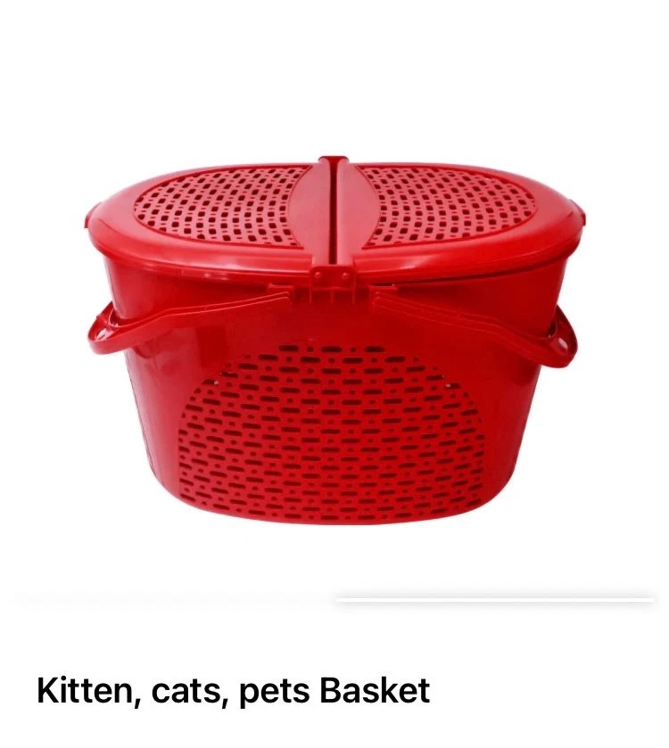 Kitten, cats, pets Basket-Image 2