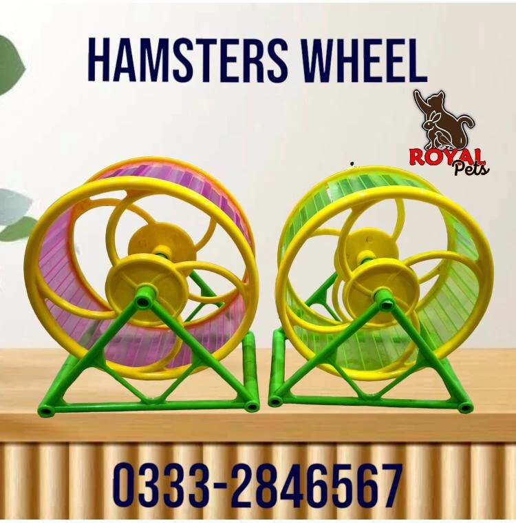 Hamster wheel-Image 3