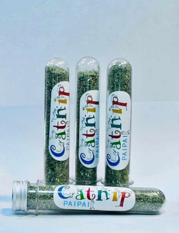 cat nip ( pai pai )-Image 1