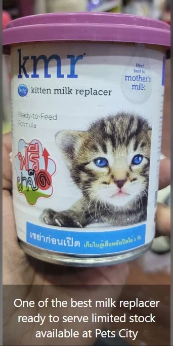 Kitten Milk replacer-Image 1