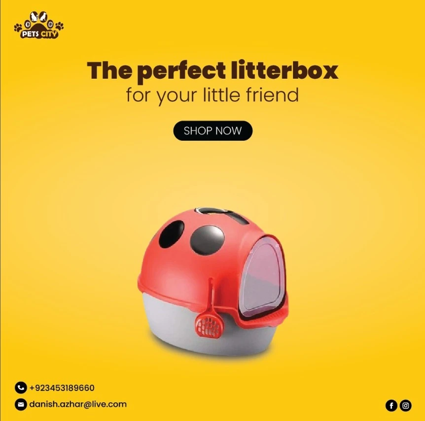 The perfect litter box for sale-Image 1