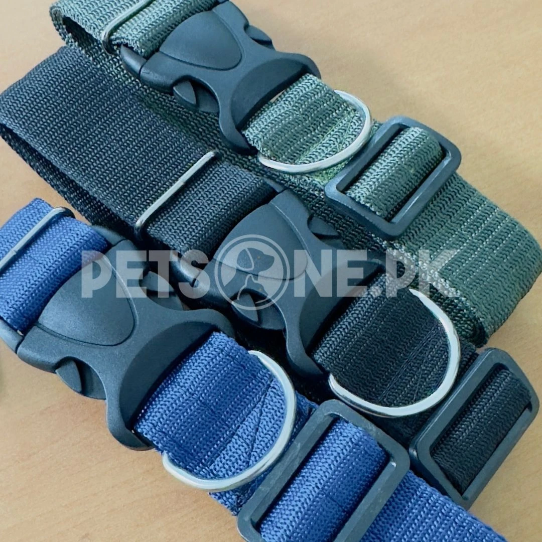 Nylon Dog Collar With Plastic Clip Lock-Image 2