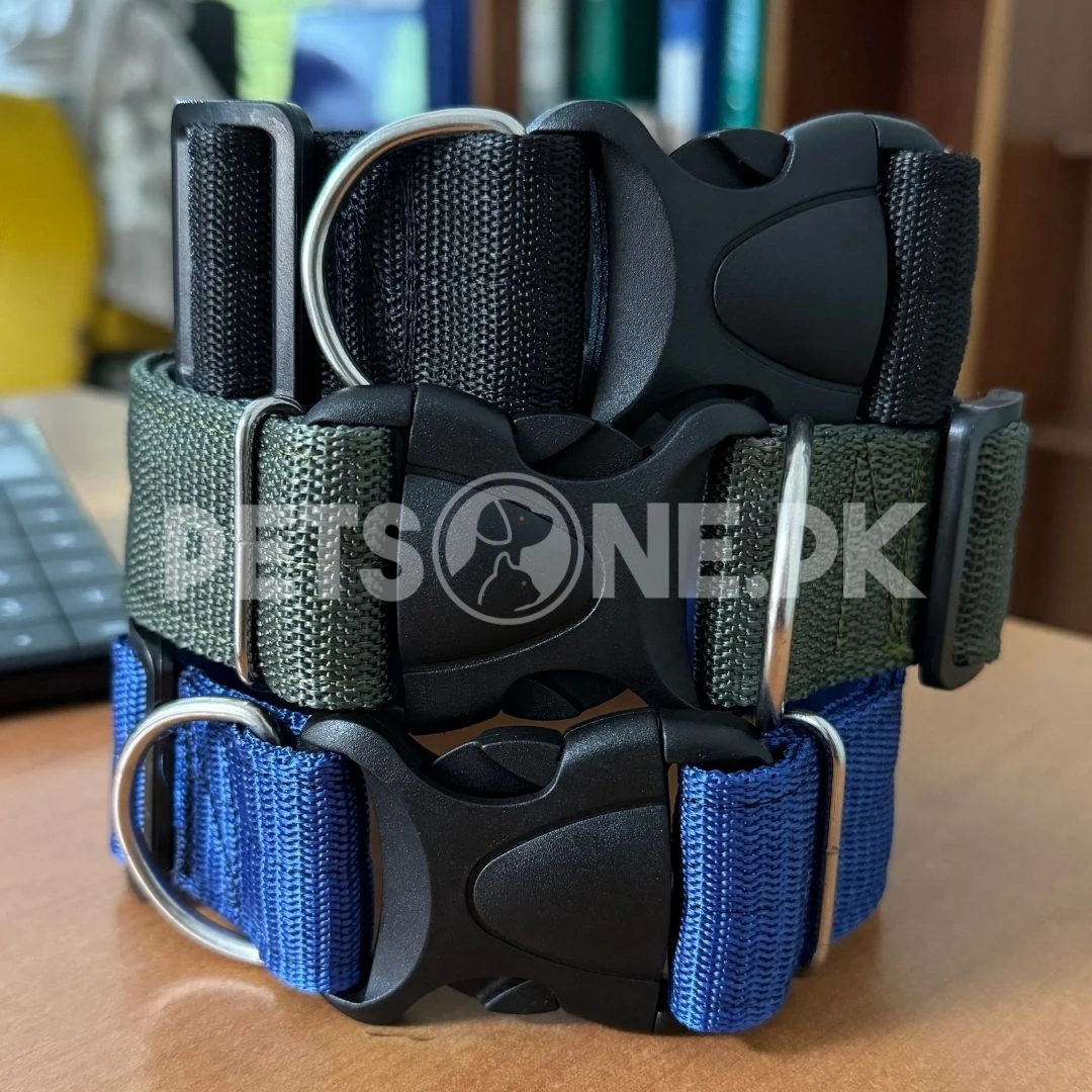 Nylon Dog Collar With Plastic Clip Lock-Image 3