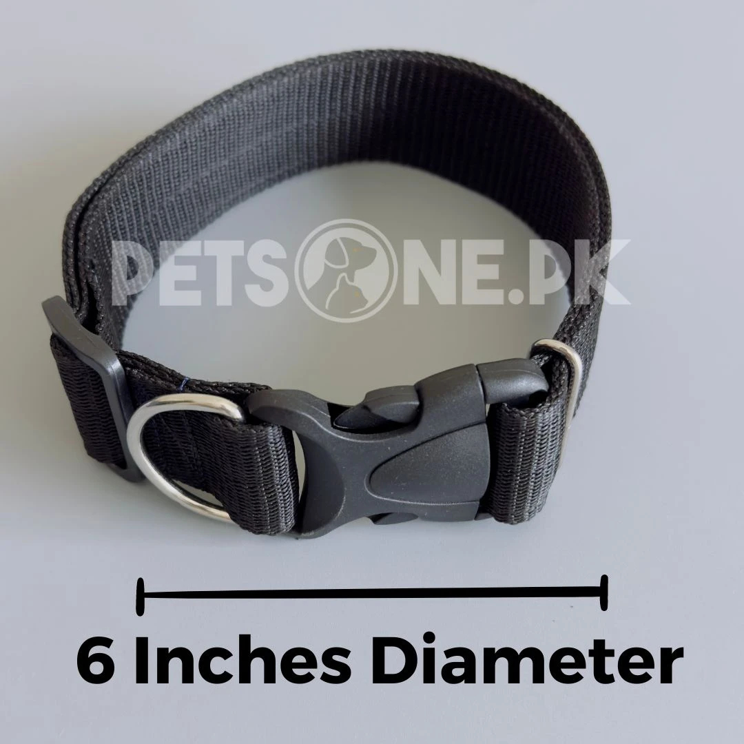 Nylon Dog Collar With Plastic Clip Lock-Image 4