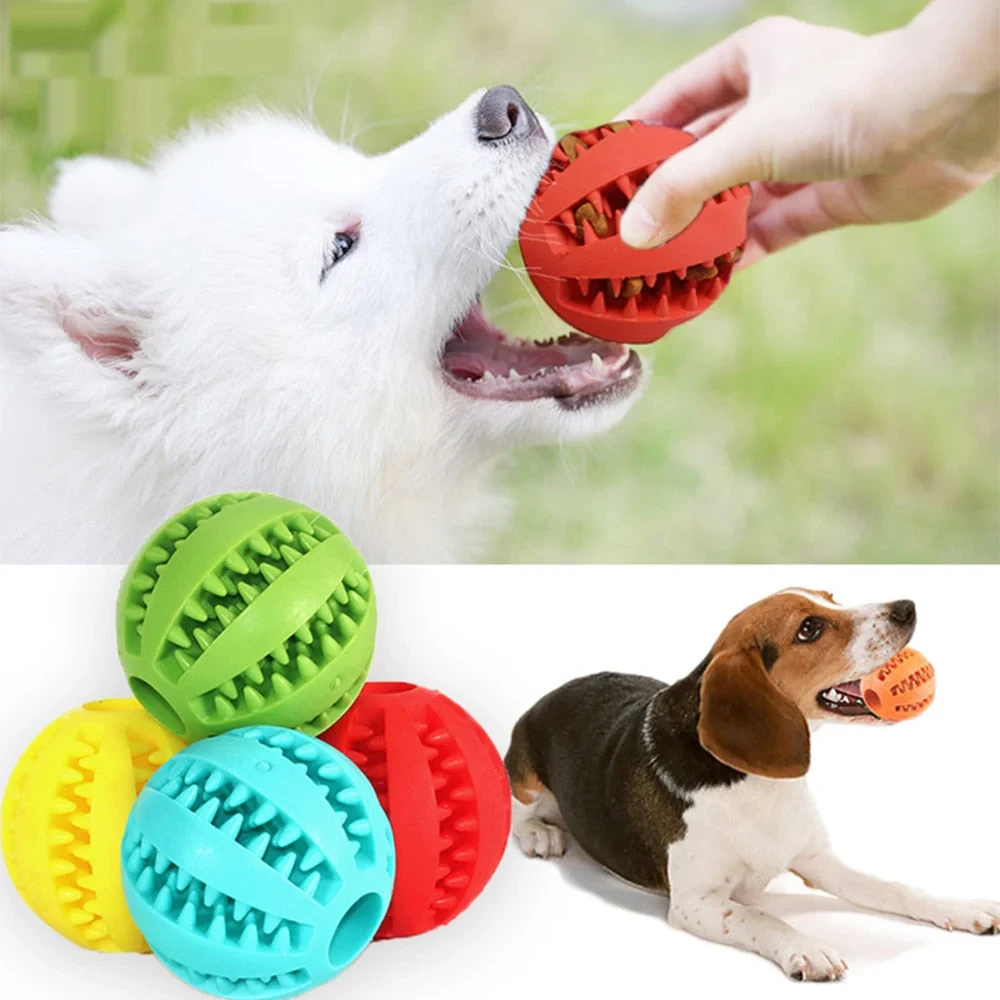 Teeth Cleaning Chew Treat Ball for Puppies and Dogs-Image 3