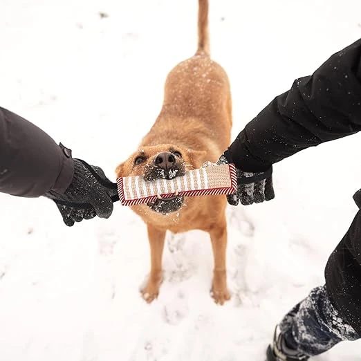 Puppy/Dog Tug for Strong Teeth and Training-Image 2