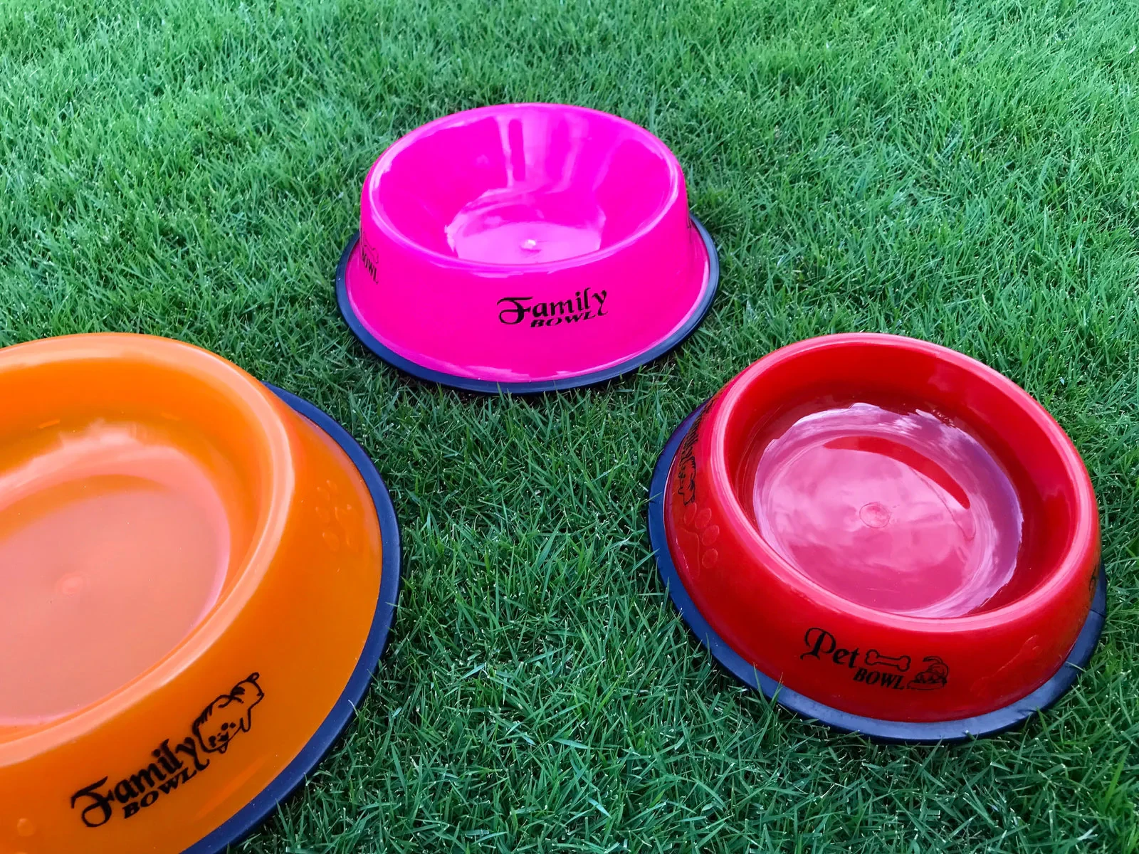 Plastic Bowl for  Dogs-Image 2