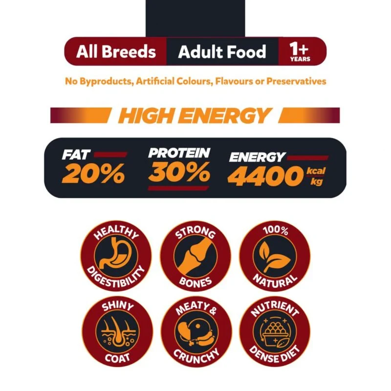 Big Paw High Energy Dog Food-Image 3