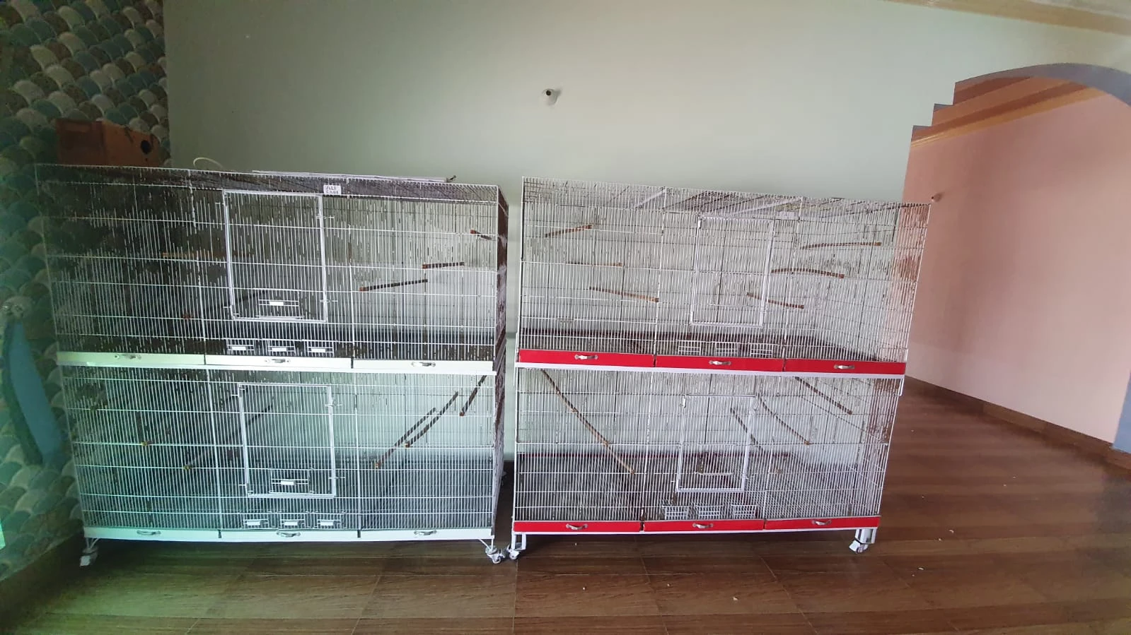 Parrots Cages Available-Image 2