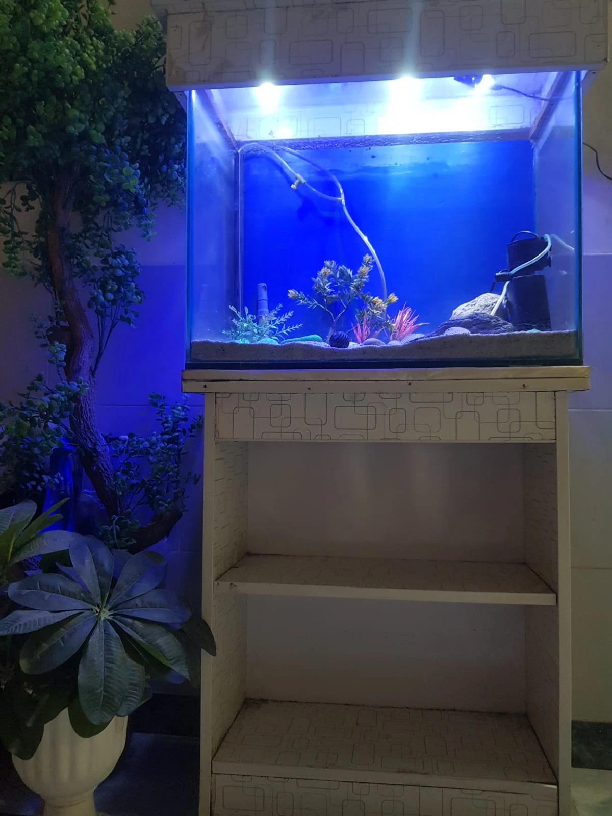 fish aquarium | fish aquarium with all equipment's | neat condition-Image 5