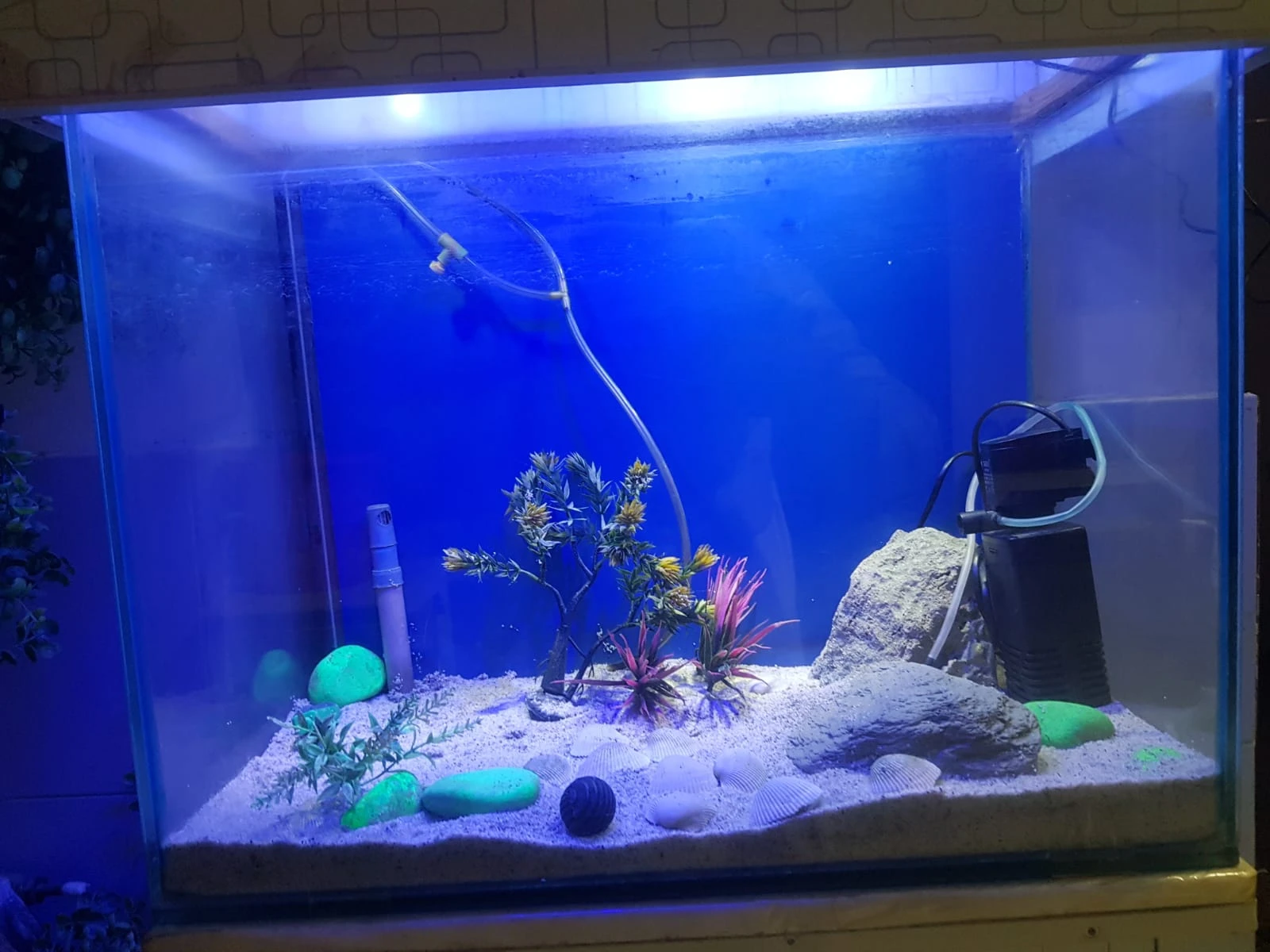 fish aquarium | fish aquarium with all equipment's | neat condition-Image 7