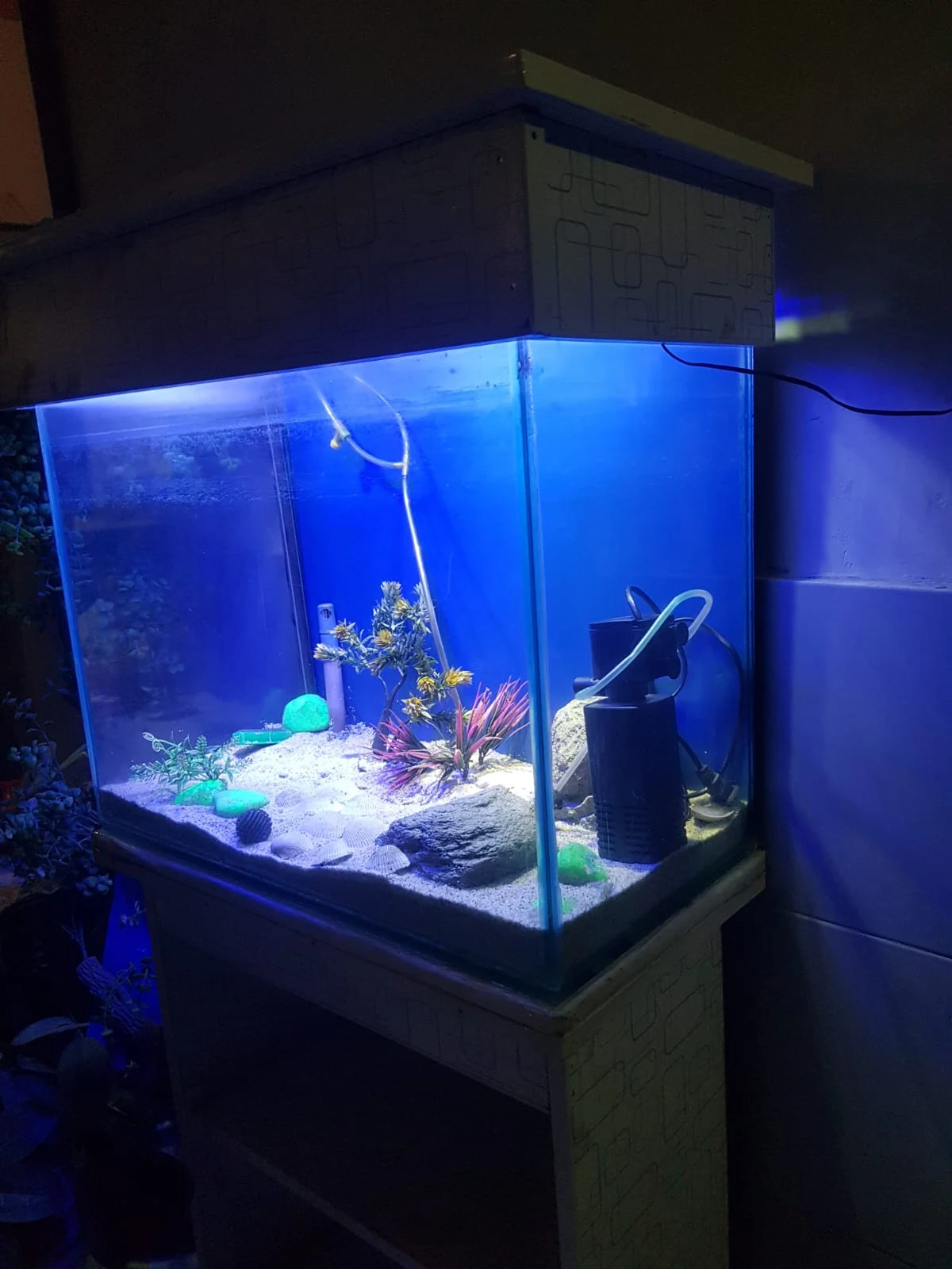 fish aquarium | fish aquarium with all equipment's | neat condition-Image 9