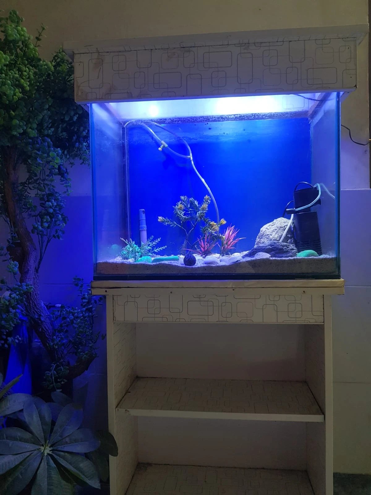 fish aquarium | fish aquarium with all equipment's | neat condition-Image 10