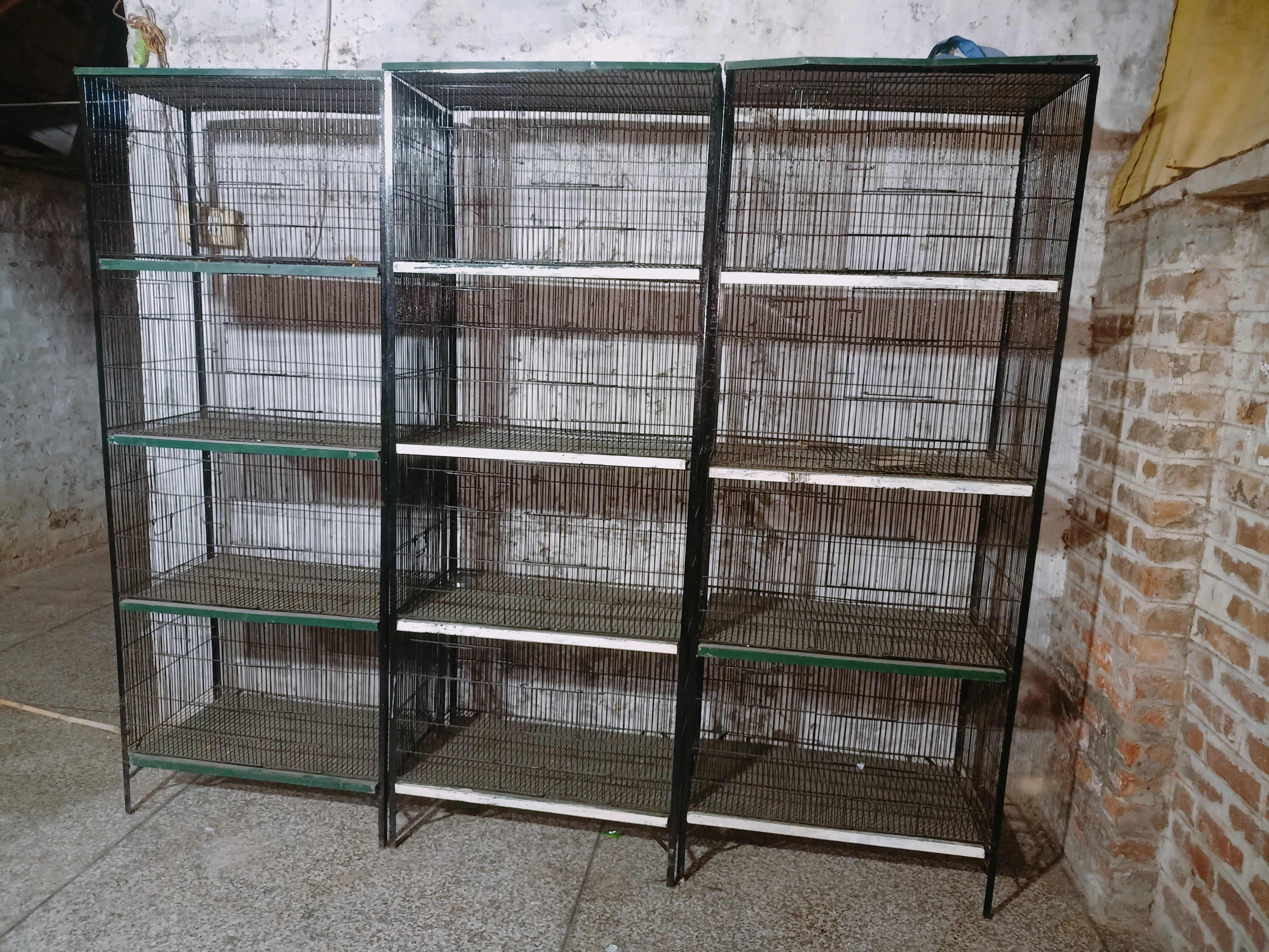 Birds cage-Image 3