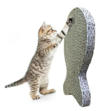 Scratching Board Toy