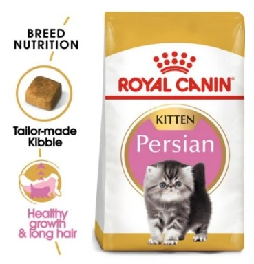 Royal Canin Persian Kitten