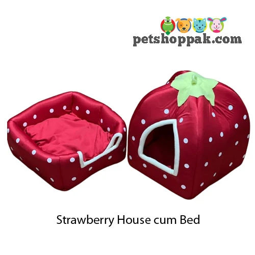 Strawberry House cum Bed