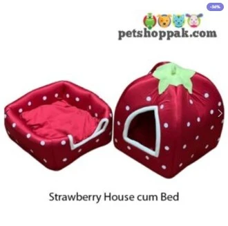 Strawberry House cum Bed