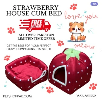 Strawberry House cum Bed