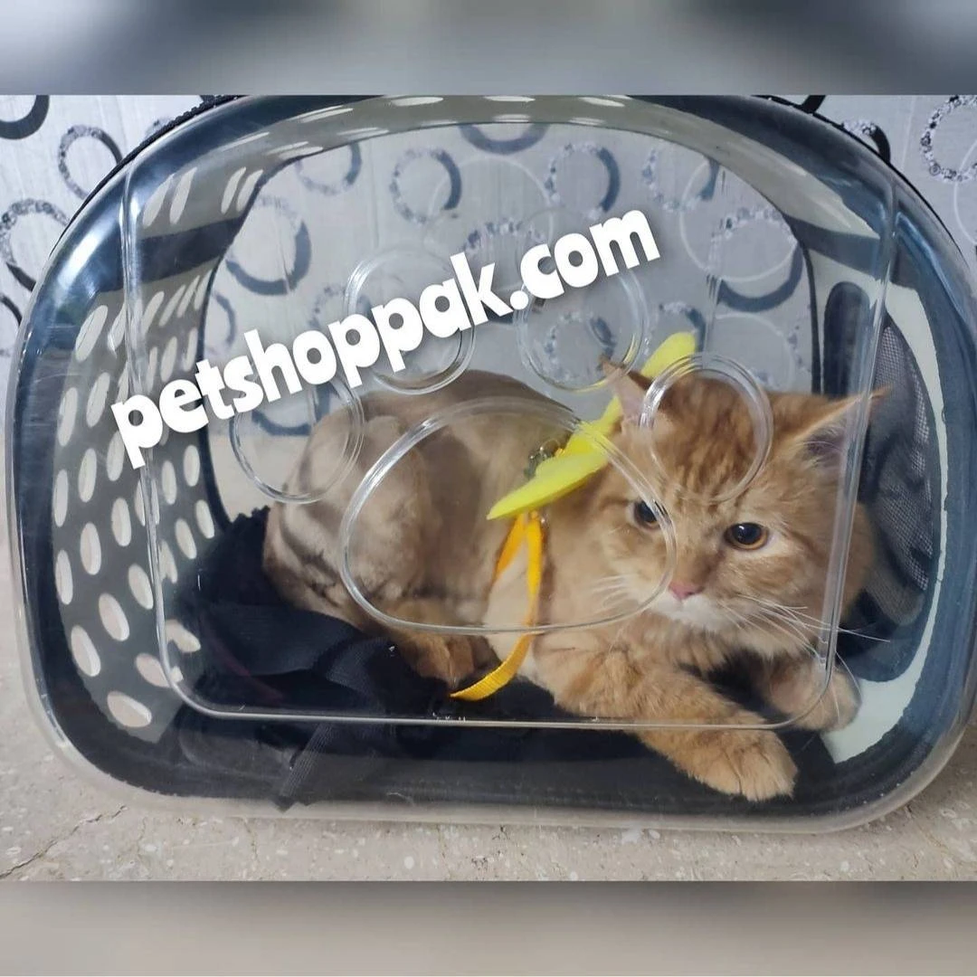 Transparent Pet Carrier Bag-Image 2