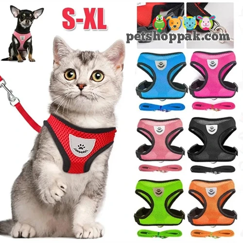 Breathable Pet Harness with Leash