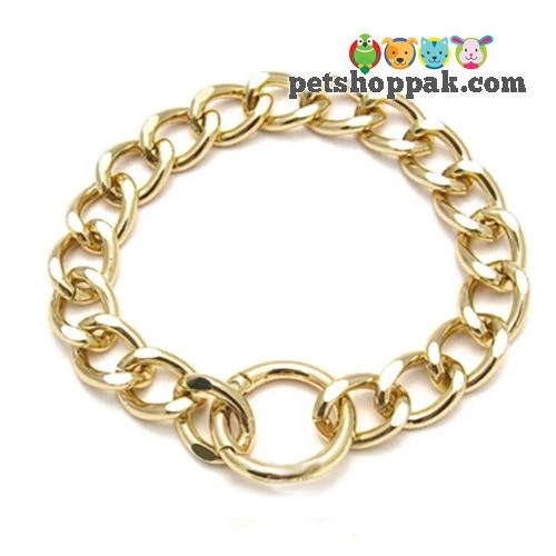 Cat Golden Chain Collar