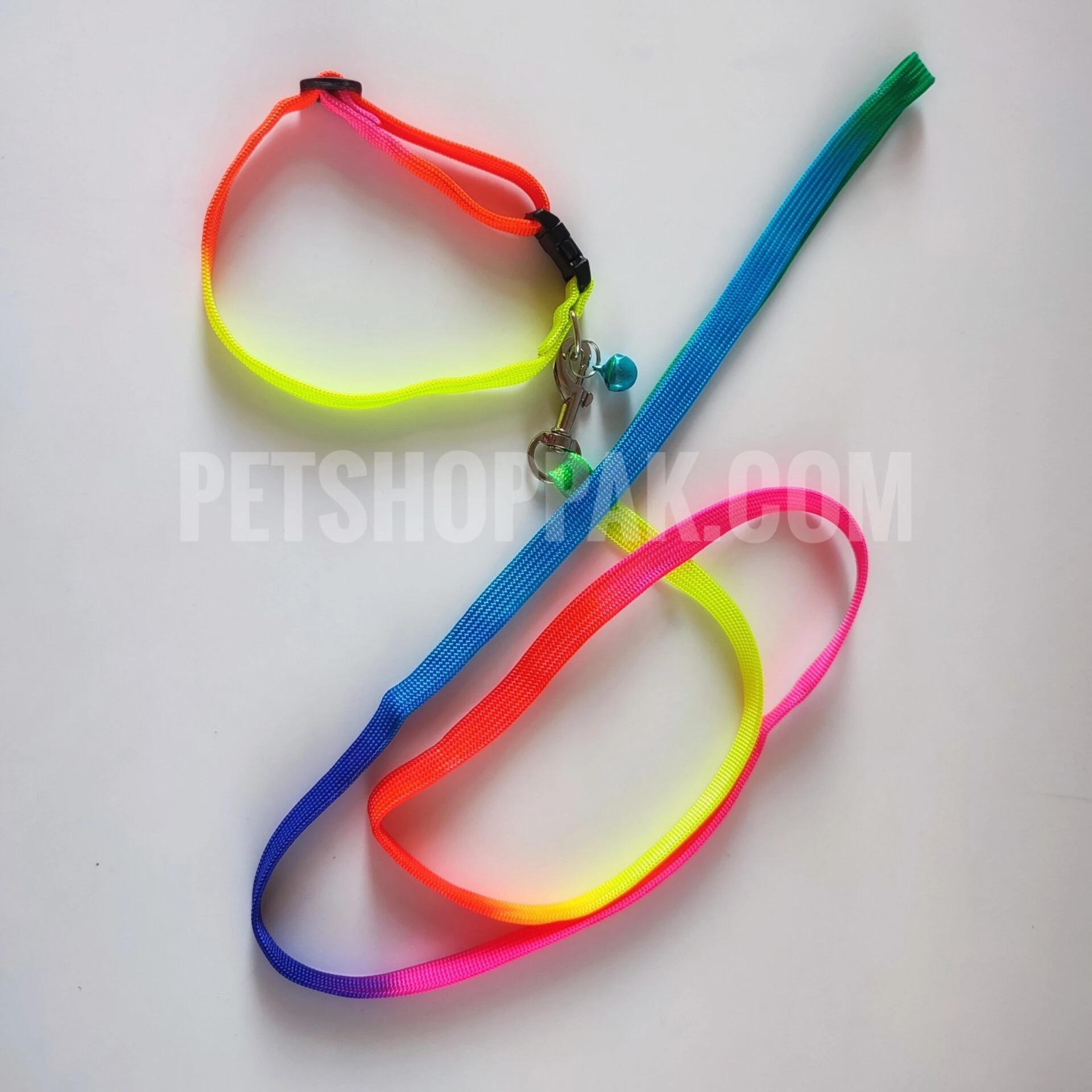 Rainbow collar with leash