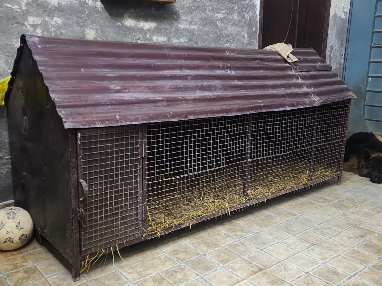 iron cage for dogs Cats hens duck adult and puppies