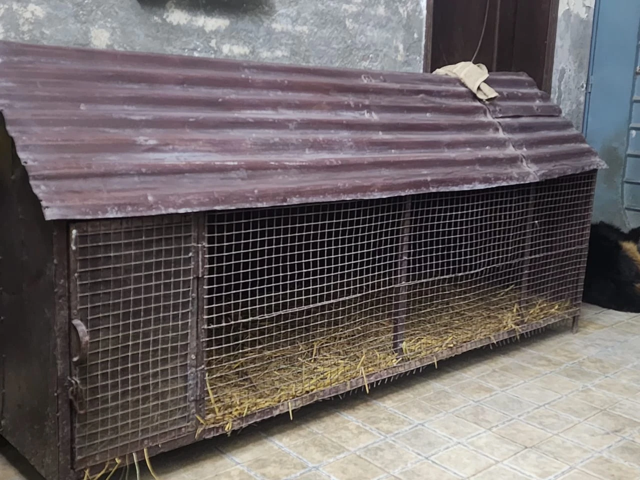 iron cage for dogs Cats hens duck adult and puppies