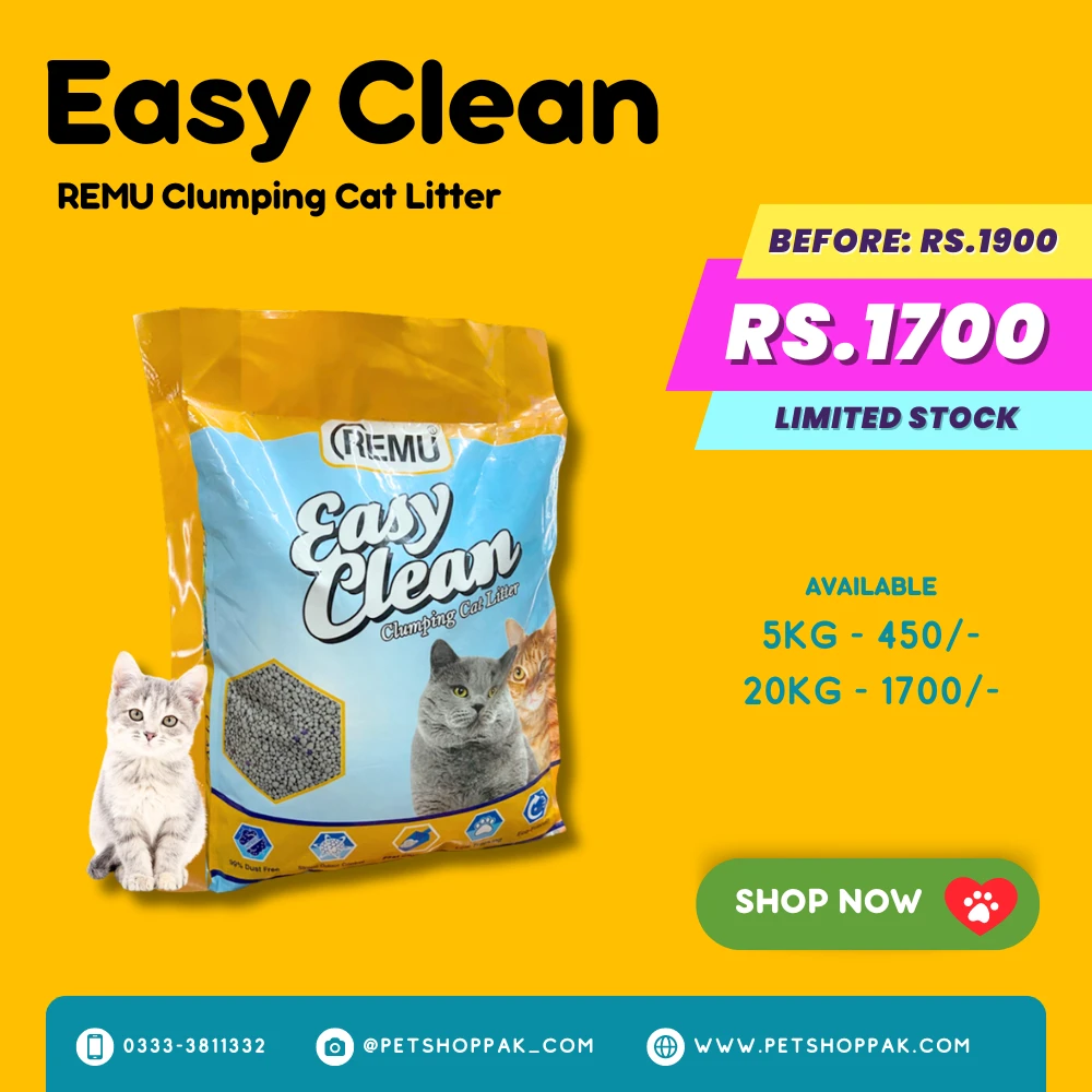 Easy Clean Cat Litter