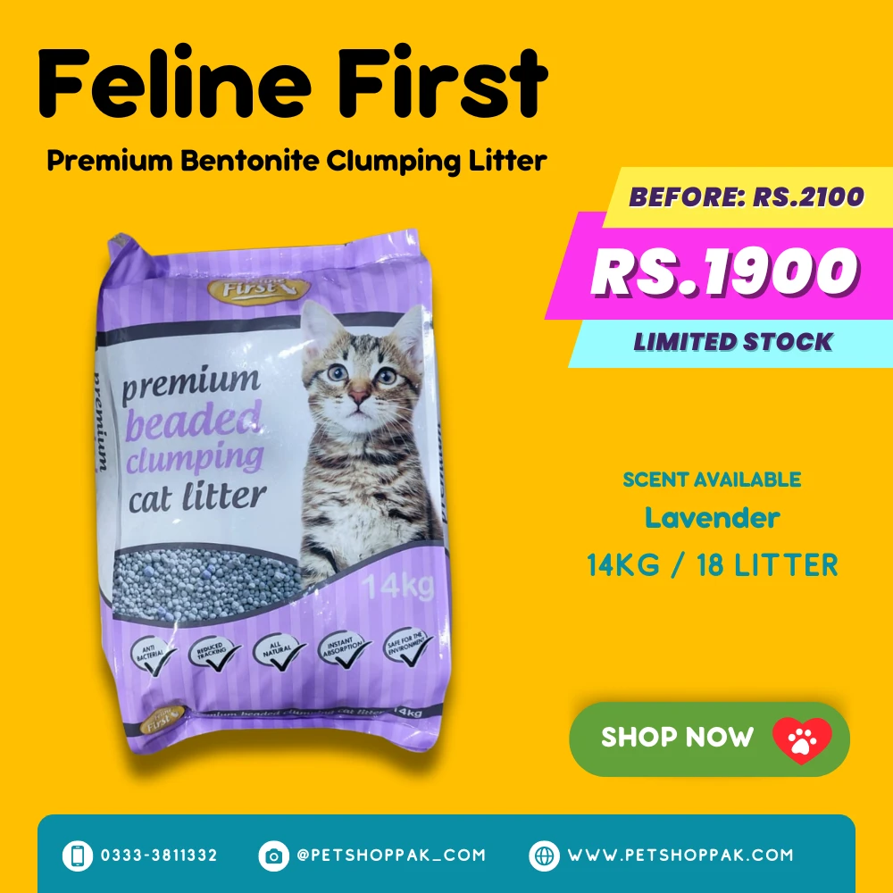 Feline First Bentonite Cat Litter