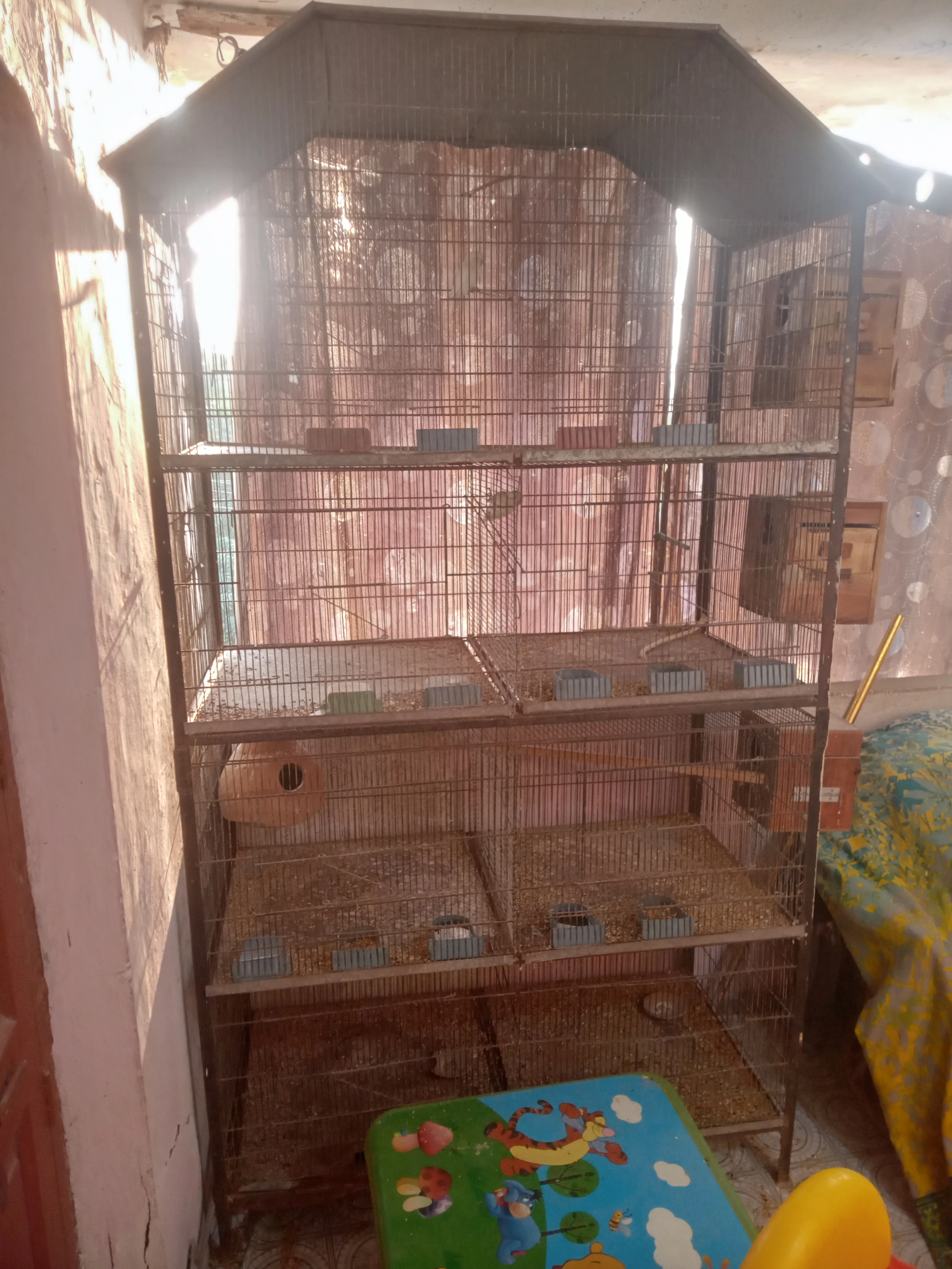 Love bird cage-Image 2