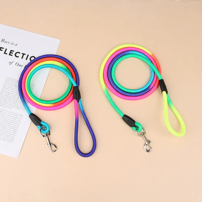 Multi Colour Nylon Leash For Pets