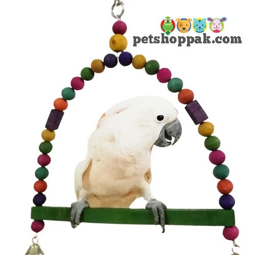 Parrot Toy D-Swing Extra Extra Large