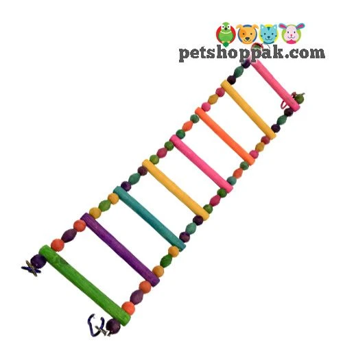 Parrot Toy Curve Ladder Swing Small