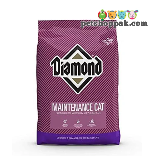 Diamond Maintenance Cat