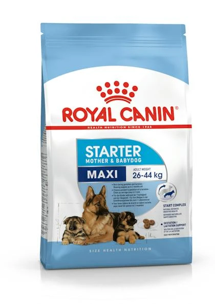 Royal Canin Starter Maxi