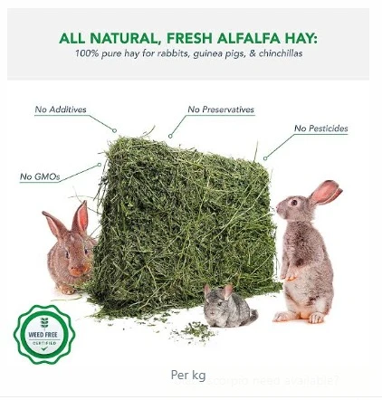 Fresh ALFALFA HAY available