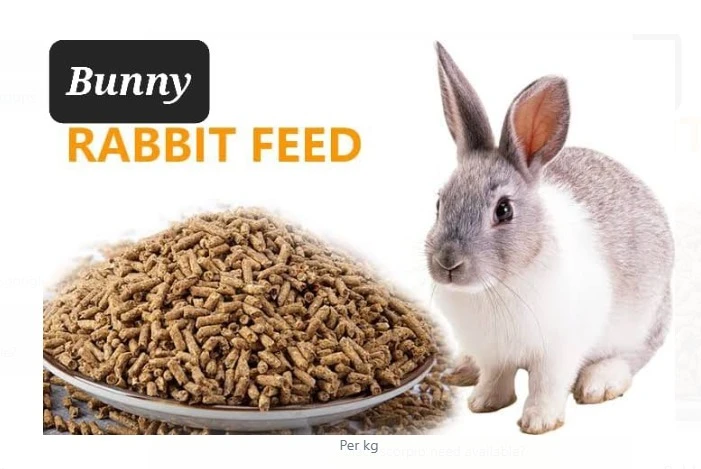 Bunny Rabbit Feed available