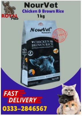 Nourvet food for cat available