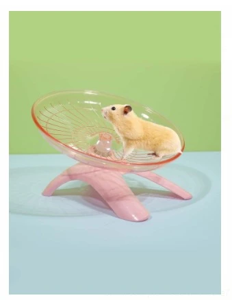 Hamsters Running Spinner